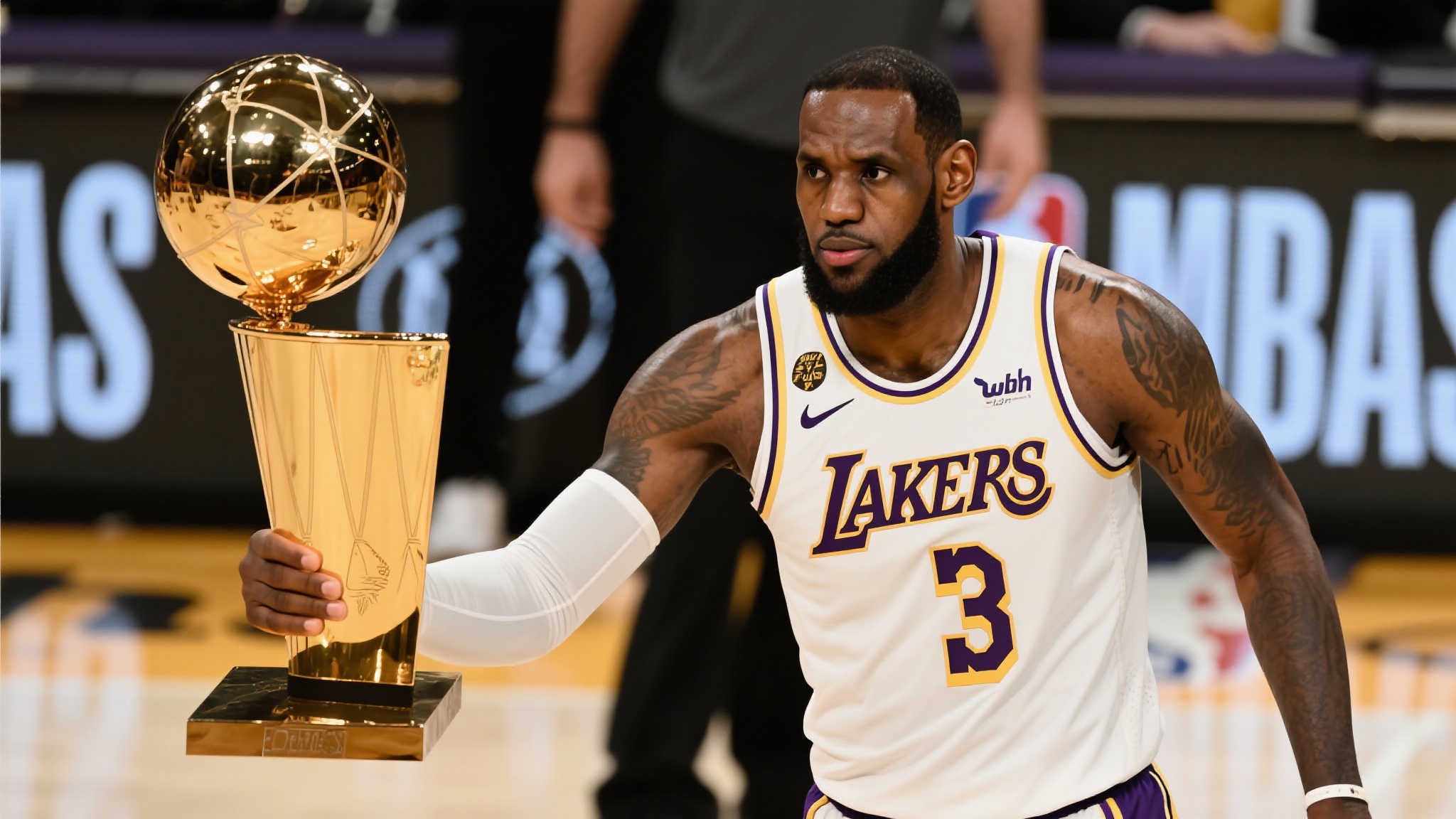 的可持续性 的可持续性