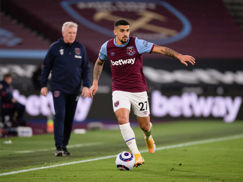 归化球员的 归化球员的